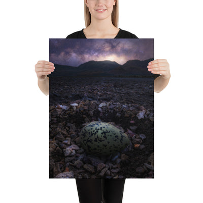 Alvord Avocet Egg Matte