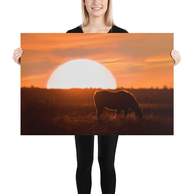 Llano Estacado Horse Matte