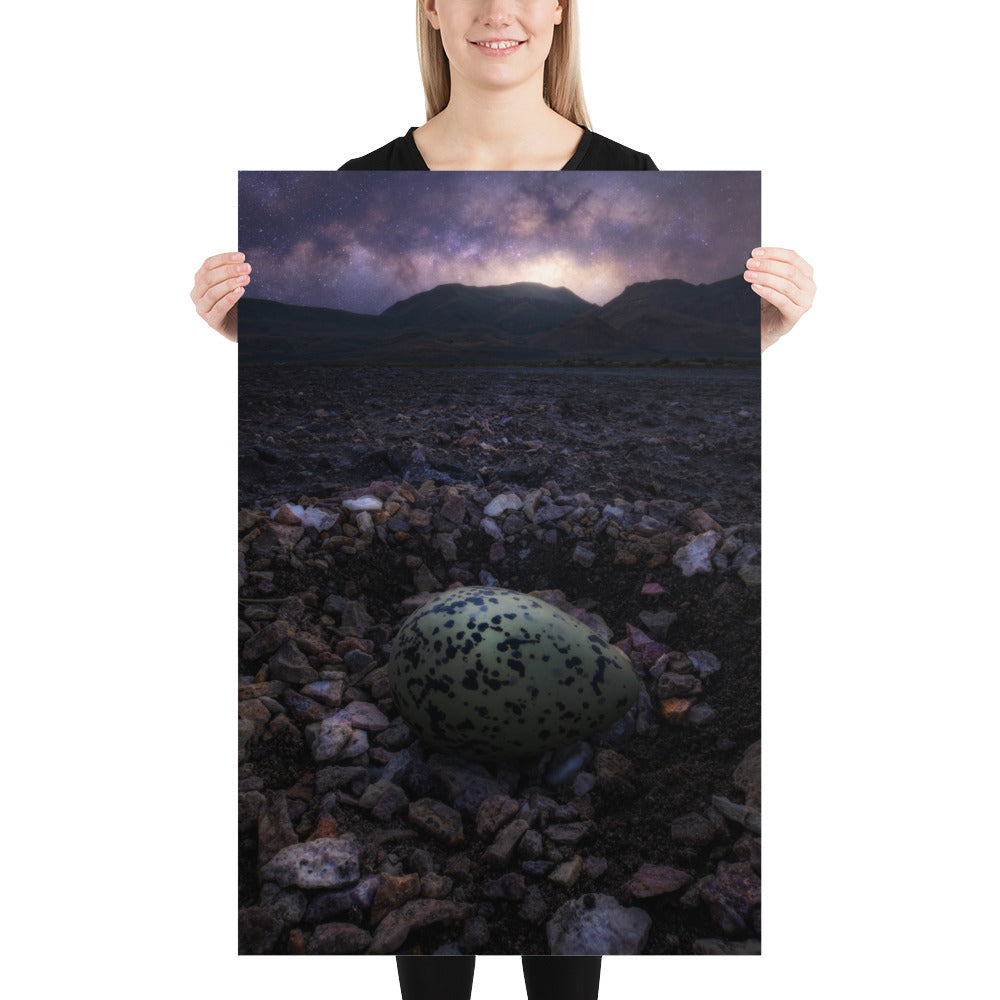 Alvord Avocet Egg Matte