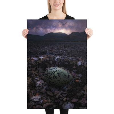 Alvord Avocet Egg Matte