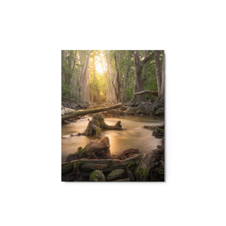 Cibolo Creek Sunset Metal