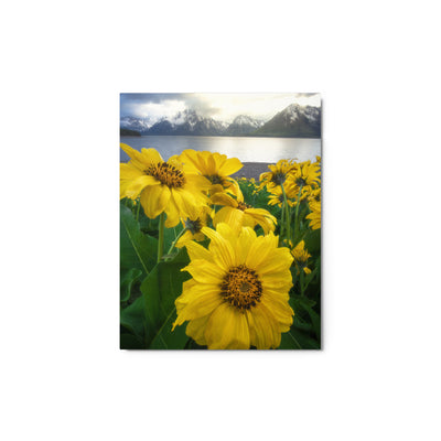 Grand Teton Wildflowers Metal