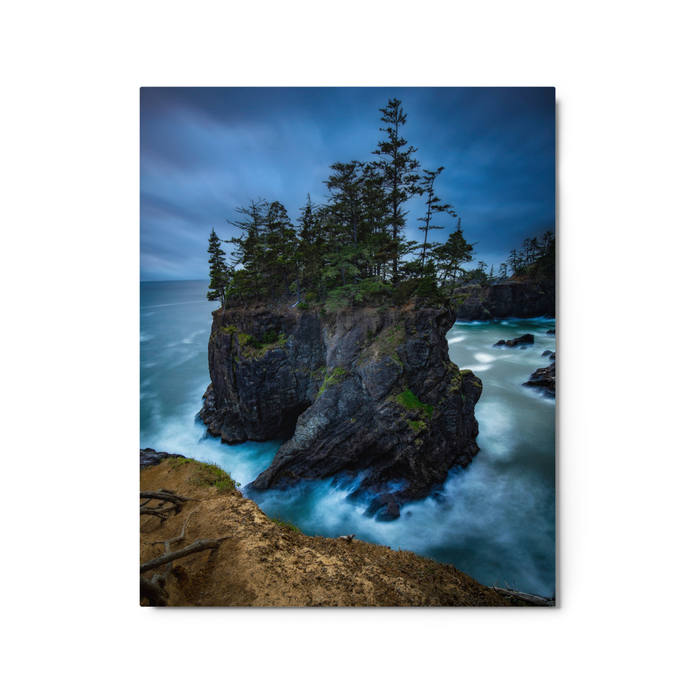 Oregon Coast Metal