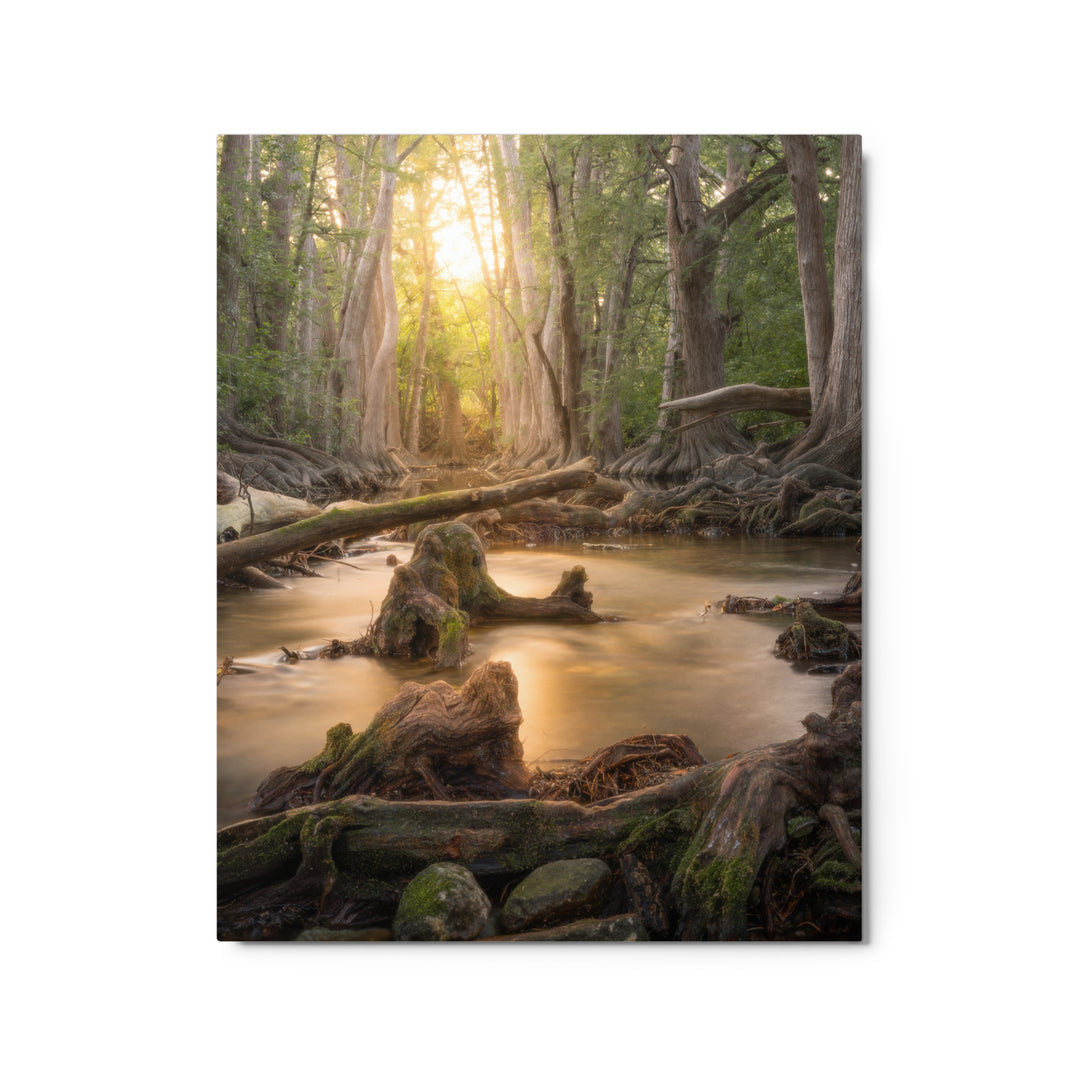 Cibolo Creek Sunset Metal