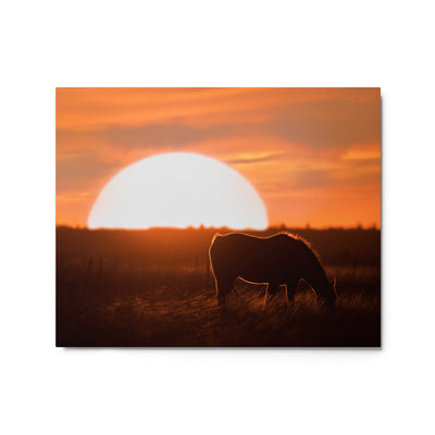 Llano Estacado Horse Metal