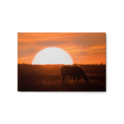 Llano Estacado Horse Metal