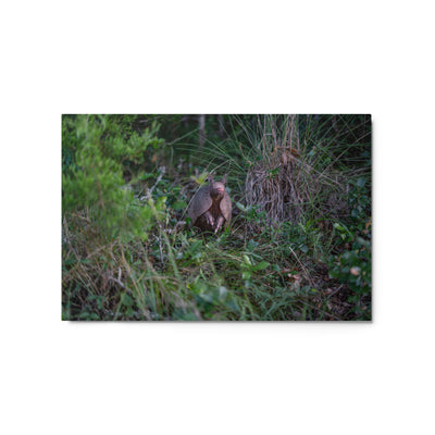 Hill Country Armadillo Metal