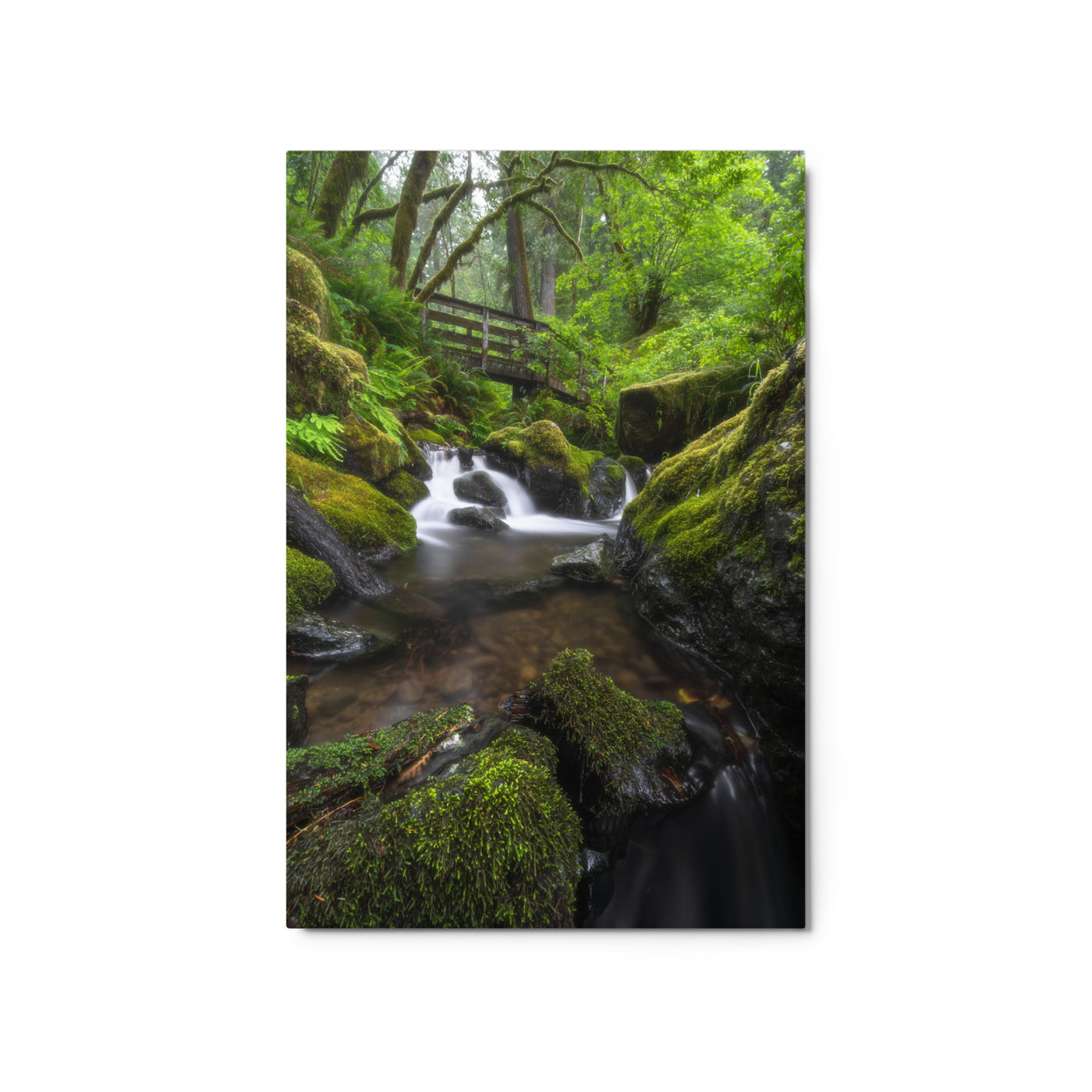 Oregon Fairy Garden Metal