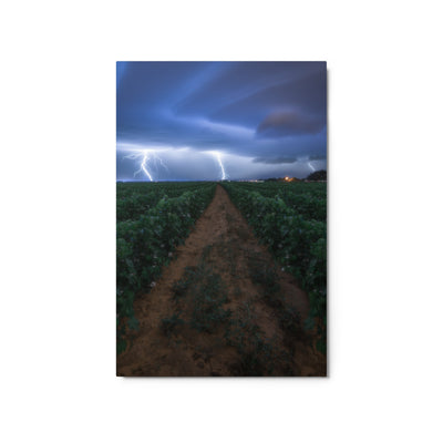 Cottonfield Lighting Storm Metal