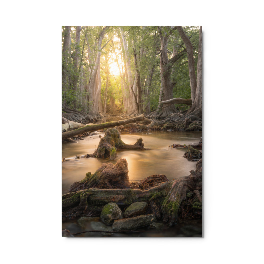 Cibolo Creek Sunset Metal