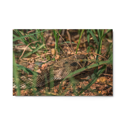 Caprock Canyons Rattlesnake Metal