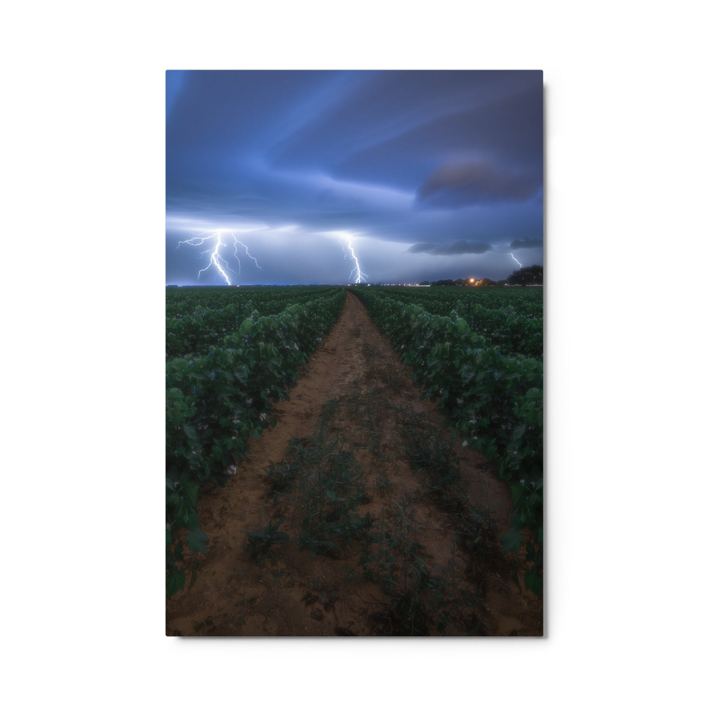 Cottonfield Lighting Storm Metal