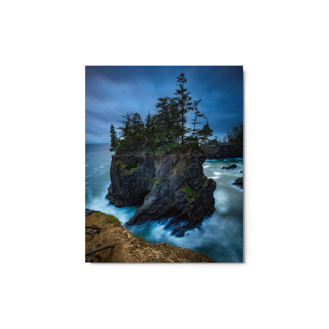 Oregon Coast Metal