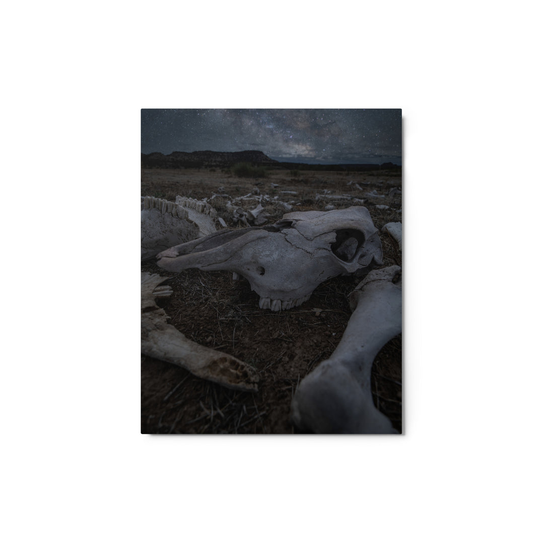 Cattle Graveyard Metal