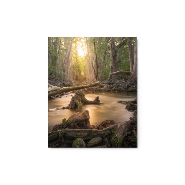 Cibolo Creek Sunset Metal