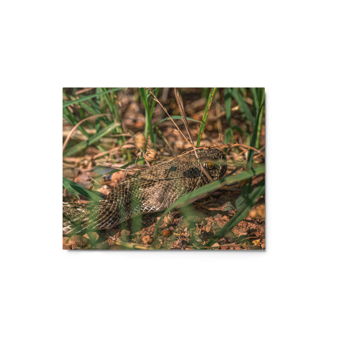 Caprock Canyons Rattlesnake Metal