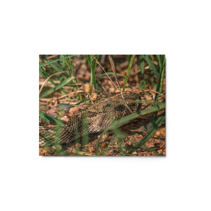Caprock Canyons Rattlesnake Metal