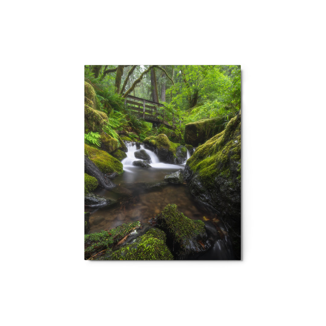 Oregon Fairy Garden Metal