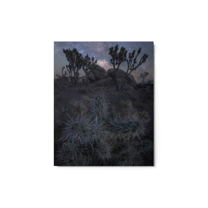 Joshua Tree Night Metal
