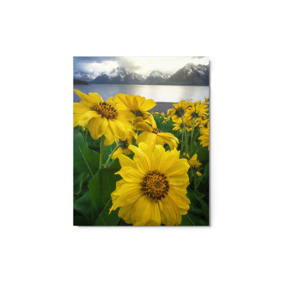 Grand Teton Wildflowers Metal