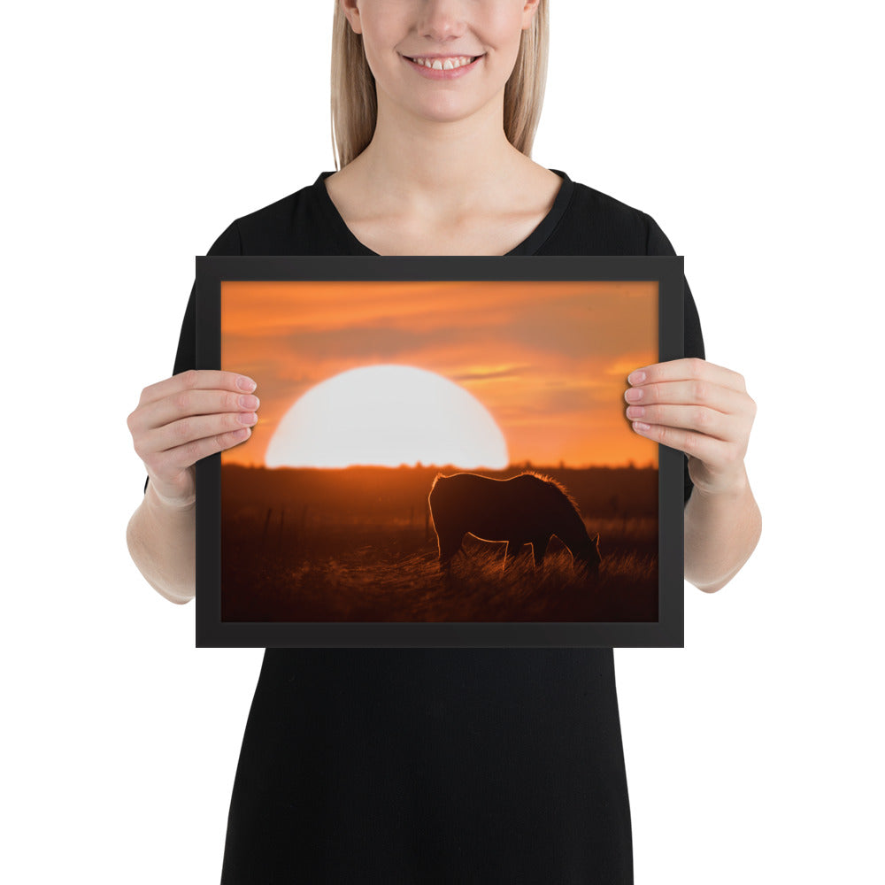 Llano Estacado Horse Framed Luster