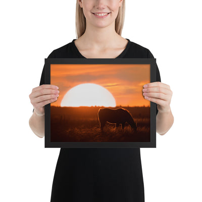 Llano Estacado Horse Framed Luster