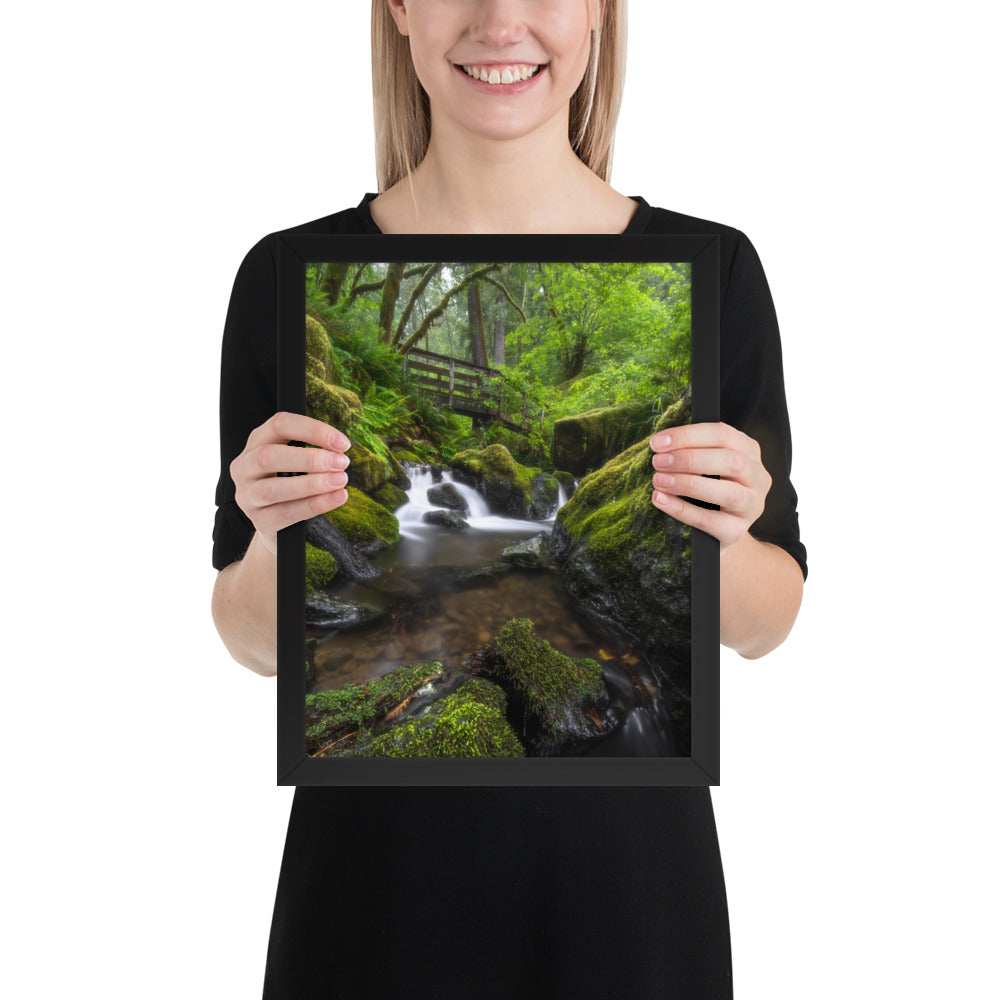 Oregon Fairy Garden Framed Luster