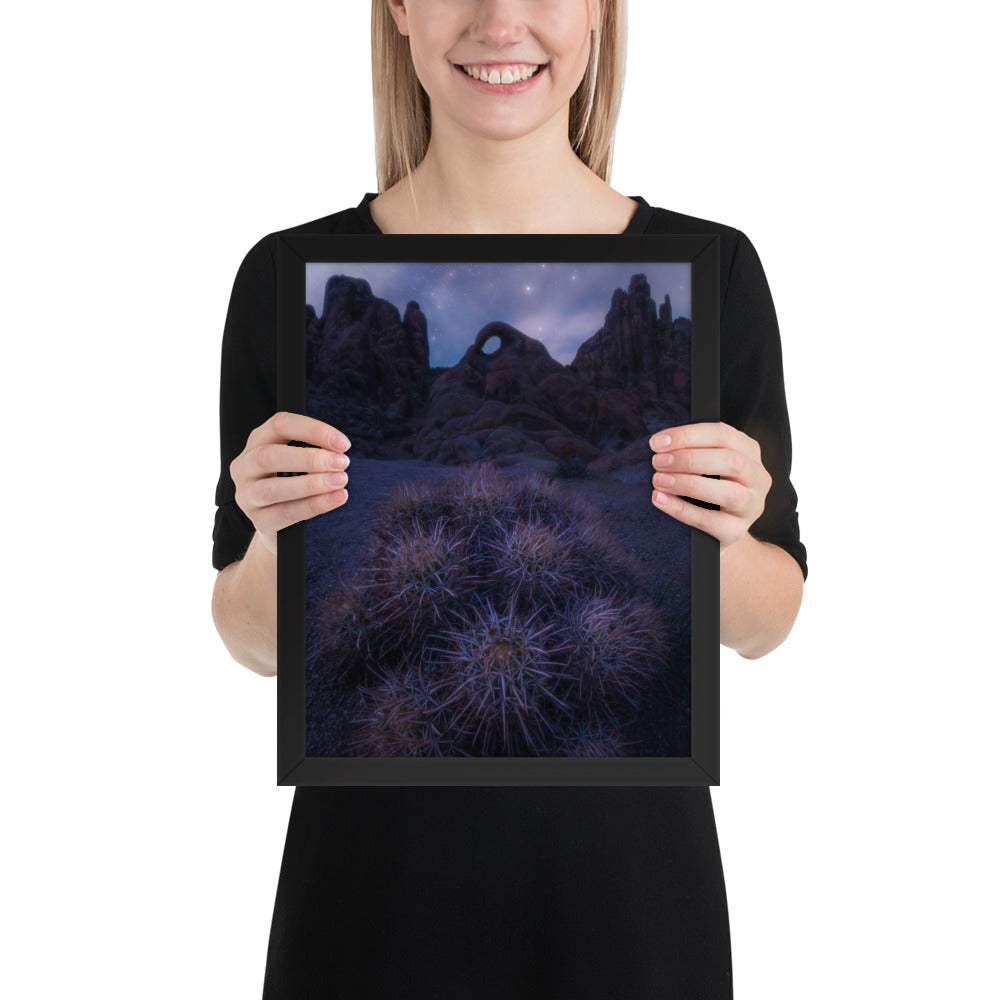 Eye of Alabama Hills Framed Luster