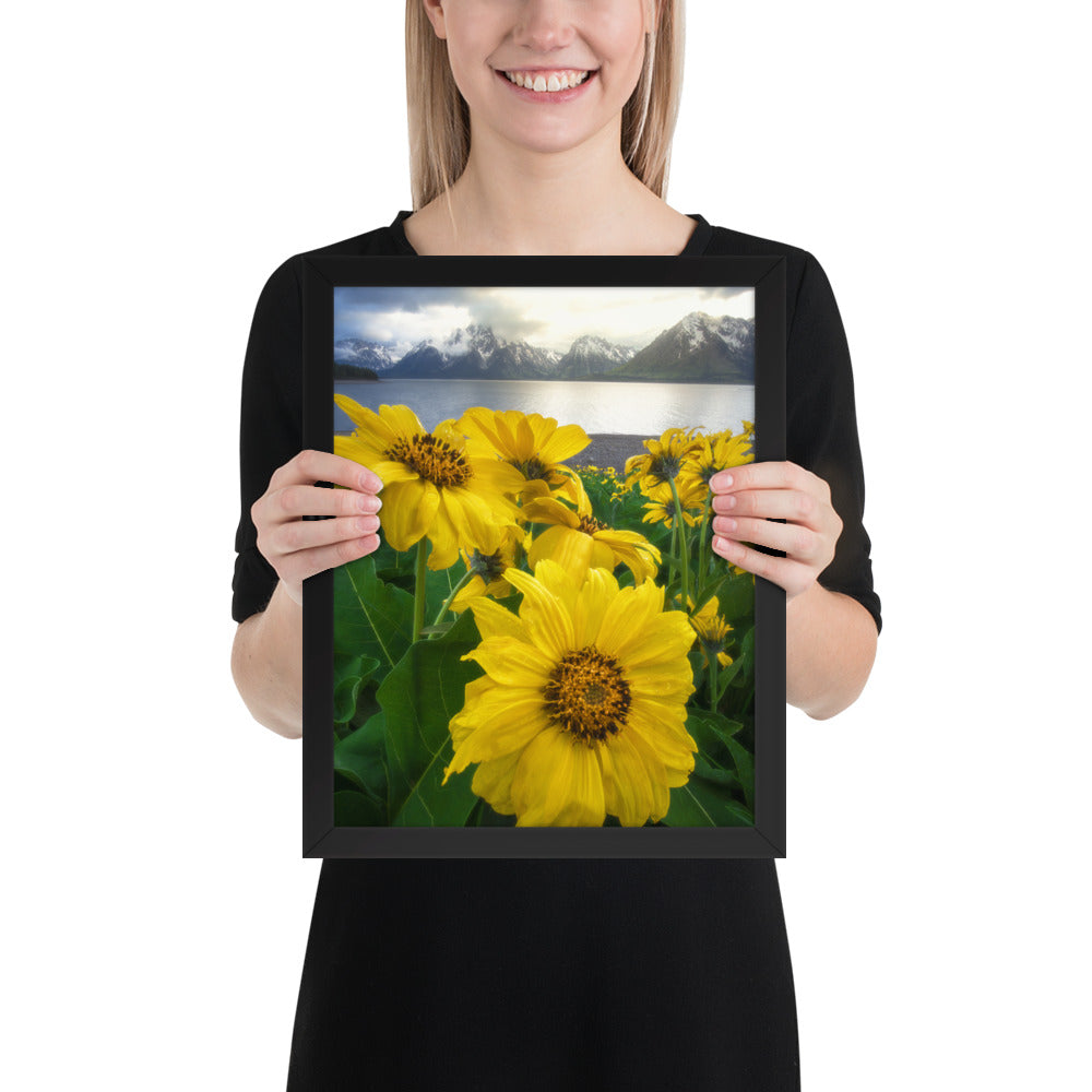 Grand Teton Wildflowers Framed Luster