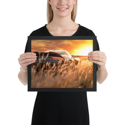 ACR Viper Sunset Framed Luster