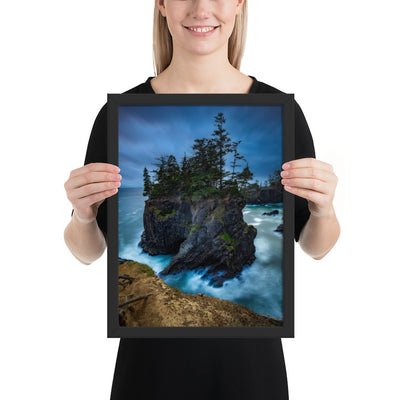 Oregon Coast Framed Luster