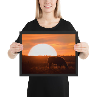 Llano Estacado Horse Framed Luster