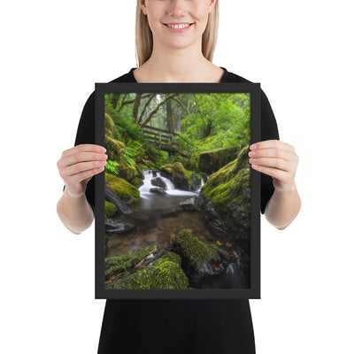 Oregon Fairy Garden Framed Luster