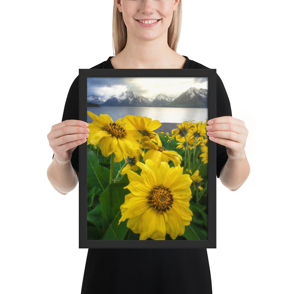 Grand Teton Wildflowers Framed Luster