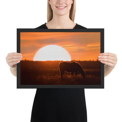 Llano Estacado Horse Framed Luster