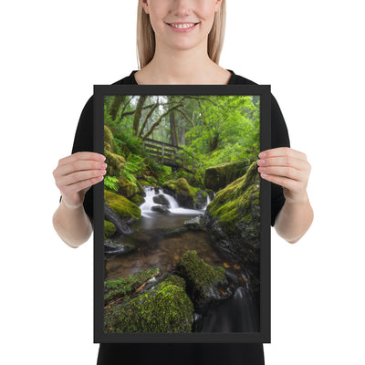 Oregon Fairy Garden Framed Luster
