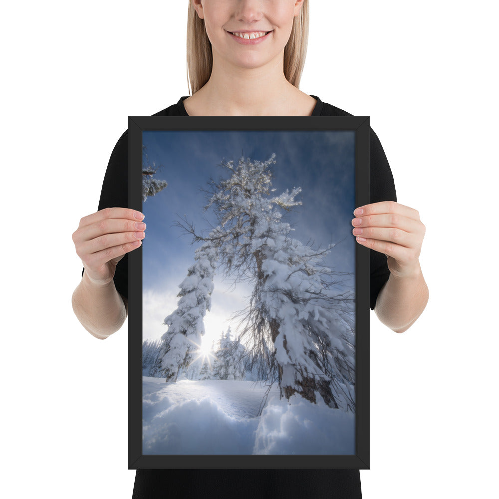 Pagosa Springs Backcountry Framed Luster
