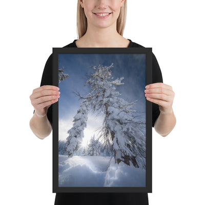 Pagosa Springs Backcountry Framed Luster