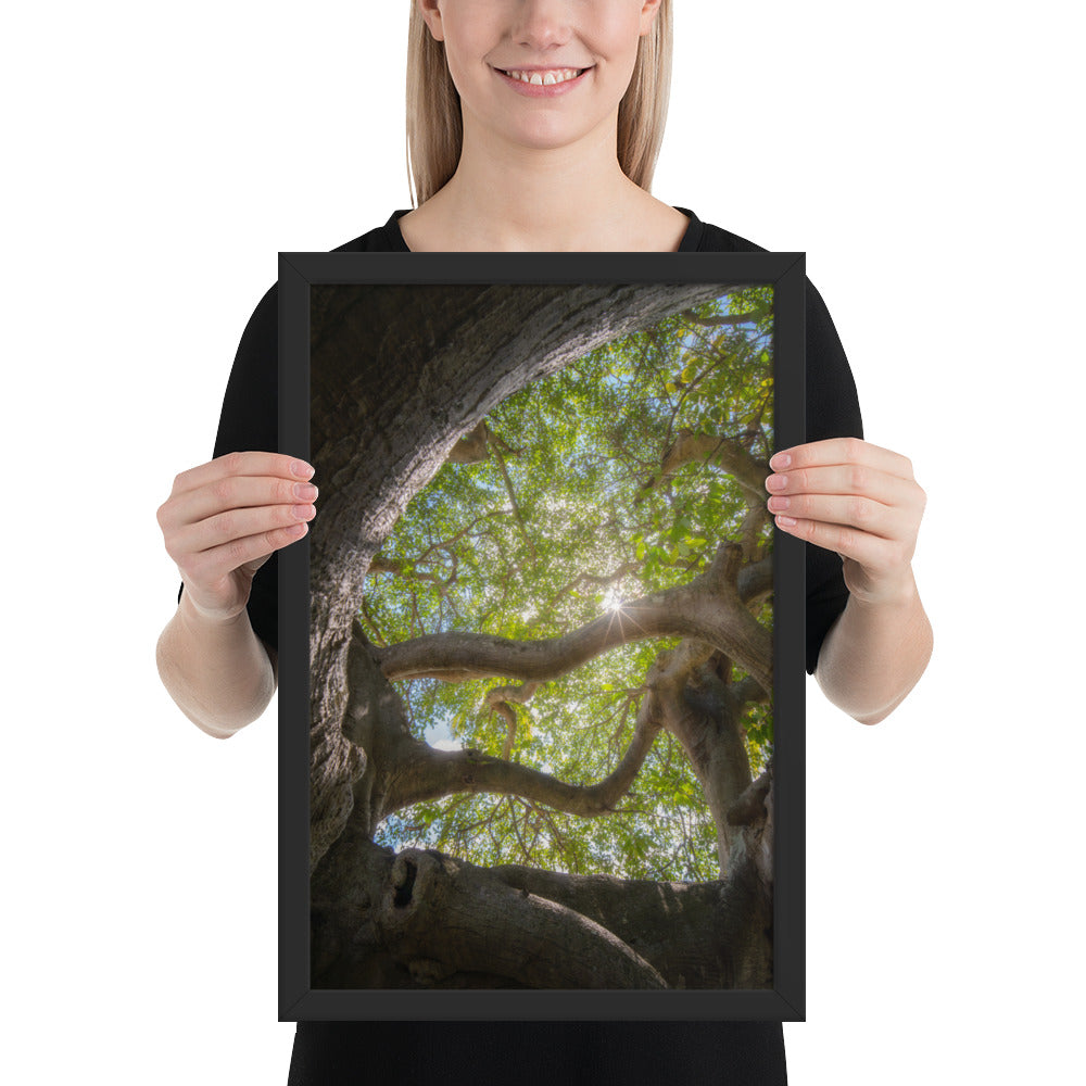 Lake Ilopango Elder Framed Luster