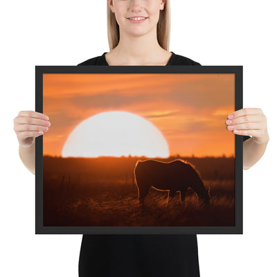 Llano Estacado Horse Framed Luster