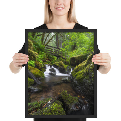 Oregon Fairy Garden Framed Luster