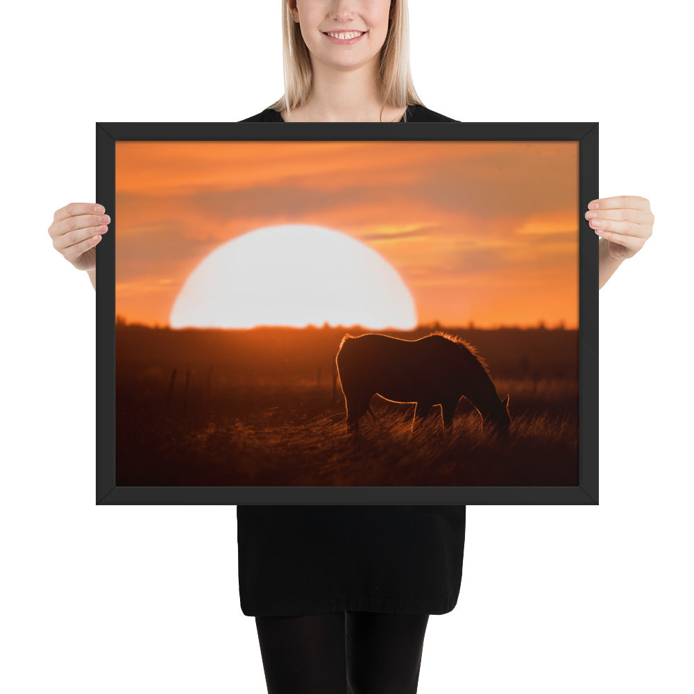 Llano Estacado Horse Framed Luster