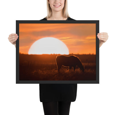 Llano Estacado Horse Framed Luster