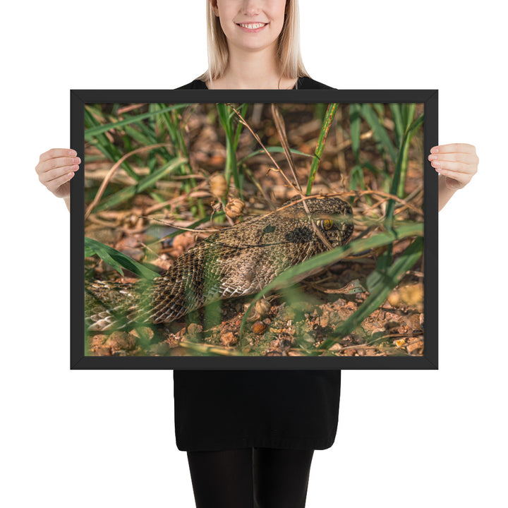 Caprock Canyons Rattlesnake Framed Luster