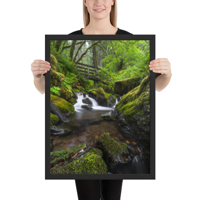 Oregon Fairy Garden Framed Luster