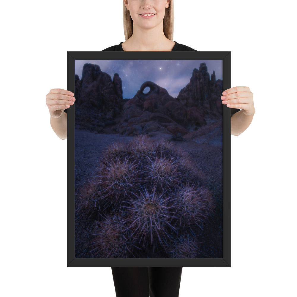 Eye of Alabama Hills Framed Luster
