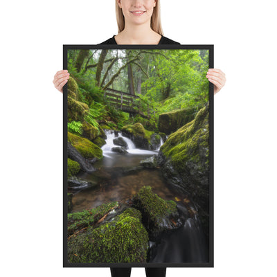 Oregon Fairy Garden Framed Luster