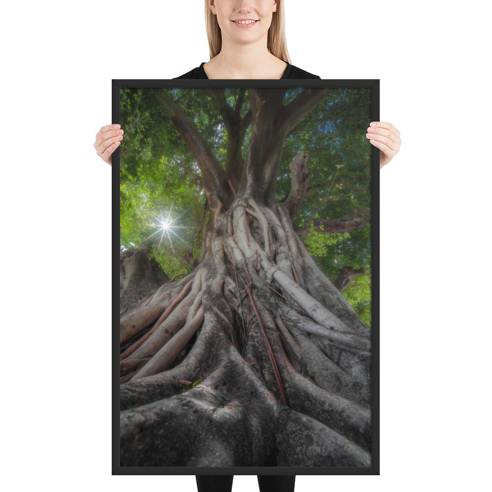 Tree of Hope Framed Luster