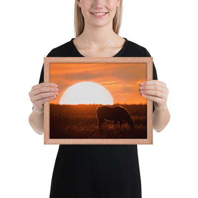 Llano Estacado Horse Framed Luster