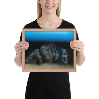 Jumping Spider Framed Luster